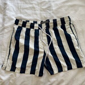 Striped Navy and White Men's Shorts